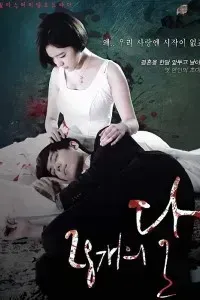 Download 28 Faces of the Moon (Season 1) Koren Drama Series {Hindi Dubbed} 720p HDRiP [350MB]