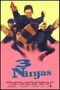 Download 3 Ninjas (1992) {English With Subtitles} 480p [400MB] || 720p [800MB]