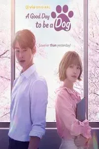 Download A Good Day to be a Dog (Season 1) (Korean with Subtitle) WeB-DL 720p [320MB] || 1080p [2GB]