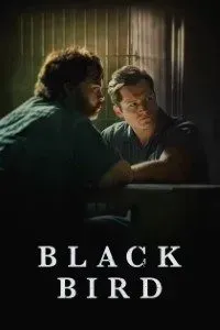 Download AppleTv+ Black Bird Season 1 2022 {English With Subtitles} WeB-HD 720p [250MB] || 1080p [1.1GB]