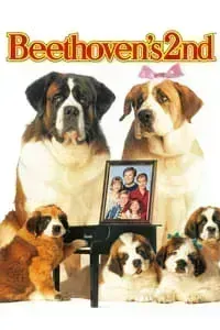 Download Beethoven’s 2nd (1993) Dual Audio {Hindi-English} Esubs BluRay 480p [293MB] || 720p [855MB] || 1080p [1.8GB]