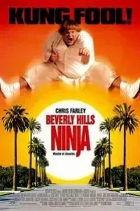 Download Beverly Hills Ninja (1997) Dual Audio (Hindi-English) 480p [350MB] || 720p [850MB] || 1080p [1.9GB]