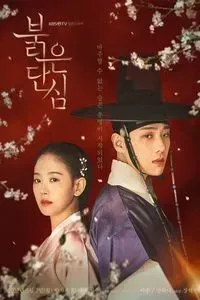 Download Bloody Heart Season 1 Multi Audio (Korean-Hindi-Thai) Msubs WeB-DL 720p [500MB] || 1080p [1.7GB]