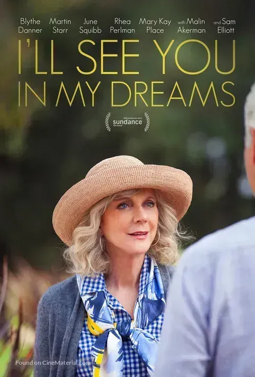 Download I’ll See You in My Dreams (2015) Dual Audio (Hindi-English) Bluray 480p [315MB] || 720p [865MB] || 1080p [2GB]