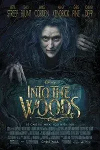 Download Into the Woods (2014) {English With Subtitles} 480p [450MB] || 720p [950MB]