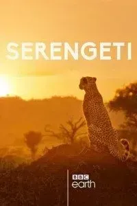 Download Serengeti (Season 1) Dual Audio (Hindi-English) WeB-DL 720p [500MB] || 1080p [1.1GB]