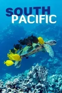 Download South Pacific (Season 1) Dual Audio (Hindi-English) WeB-DL 720p [400MB] || 1080p [1.6GB]