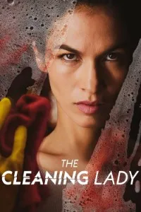 Download The Cleaning Lady (Season 1-4) [S04E01 Added] {English Audio With Esubs} WeB-DL 720p [220MB] || 1080p [840MB]