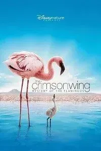 Download The Crimson Wing Mystery of the Flamingos (2008) Dual Audio (Hindi-English) 480p [300MB] || 720p [1GB]