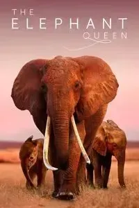 Download The Elephant Queen (2019) Dual Audio {Hindi-English} WEB-DL ESubs 480p [310MB] || 720p [860MB] || 1080p [2GB]