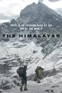 Download The Himalayas (2015) Dual Audio {Hindi-Korean} Esubs BluRay 480p [447MB] || 720p [1.1GB] || 1080p [2.5GB]
