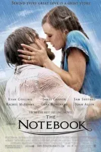 Download The Notebook (2004) Dual Audio {Hindi-English} ESubs BluRay 480p [350MB] || 720p [1.2GB] || 1080p [2.7GB]