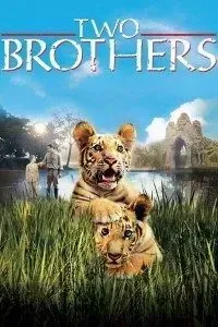 Download Two Brothers (2004) Dual Audio (Hindi-English) 480p [400MB] || 720p [1GB] || 1080p [2.1GB]