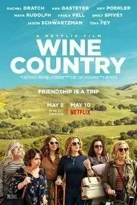 Download Wine Country (2019) Dual Audio (Hindi-English) 480p [400MB] || 720p [1GB]